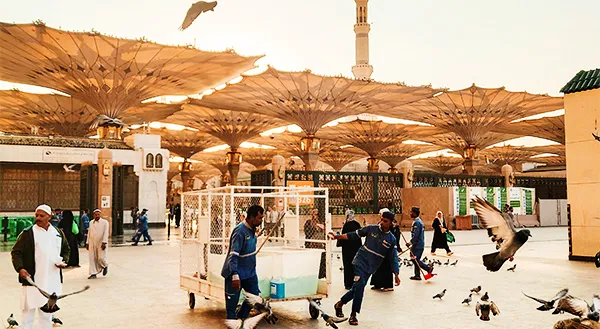 5 Star 10 Nights Group Umrah Package